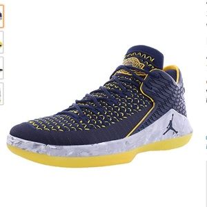 michigan jordan shoes for sale